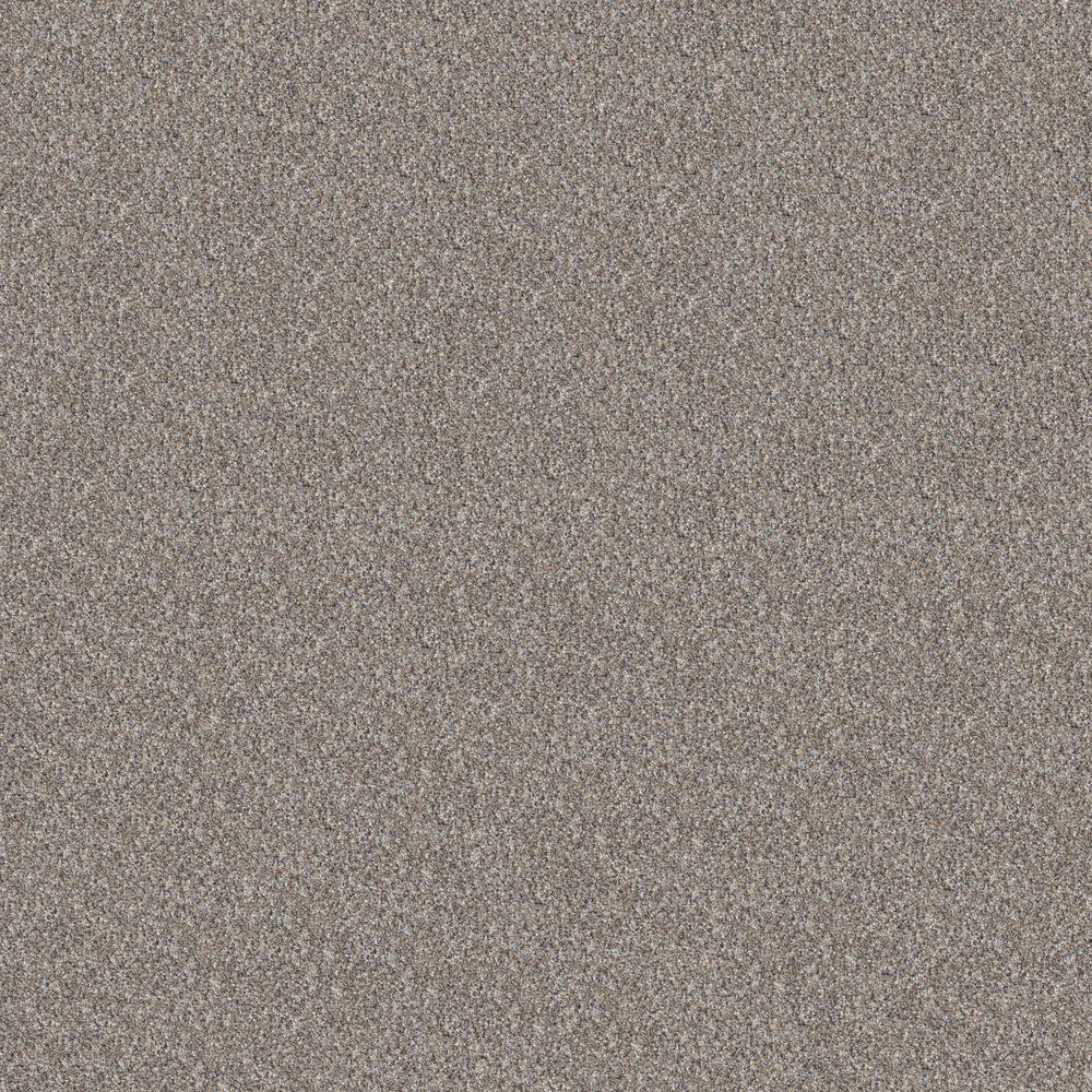 8 in. x 8 in. Texture Carpet Sample - Cuddle Cakes I - Color Speckled Egg price history on PriceWatchPro