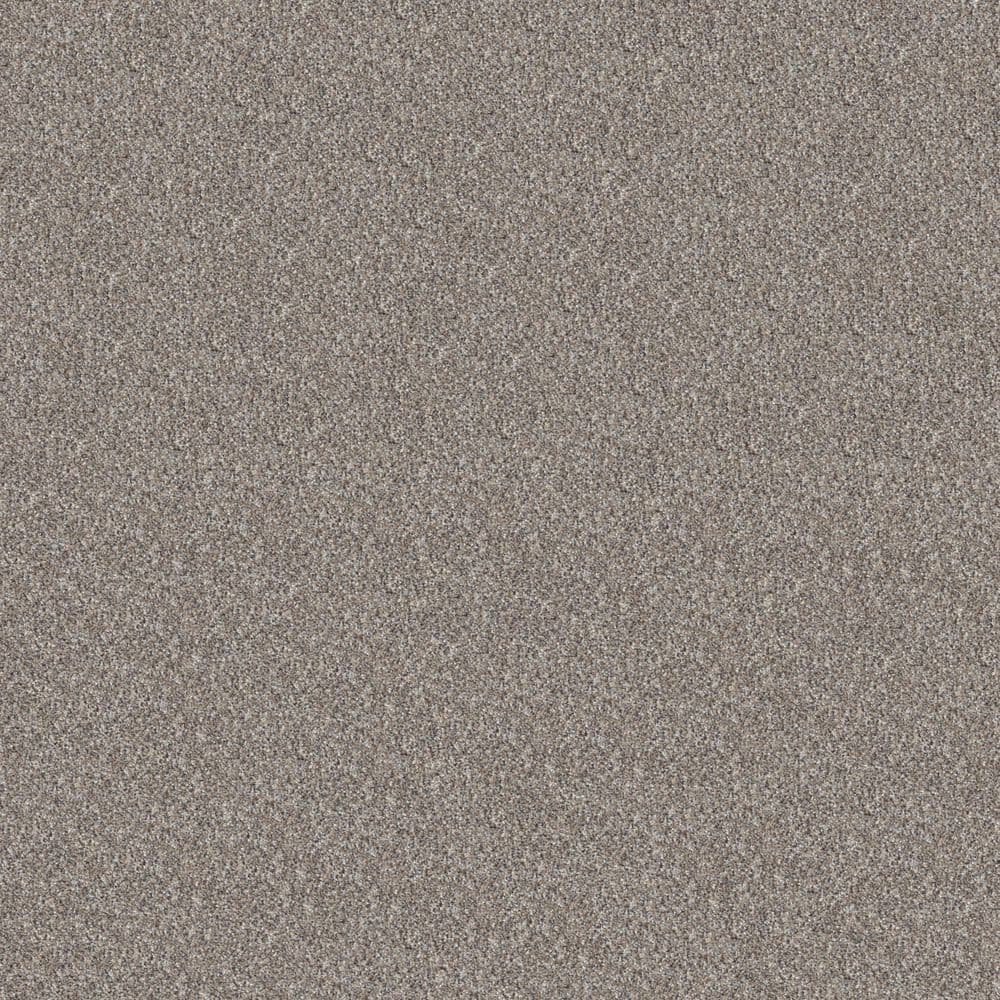 8 in. x 8 in. Texture Carpet Sample - Cuddle Cakes II - Color Speckled Egg price history on PriceWatchPro