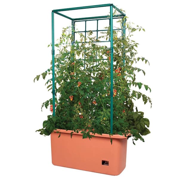 Titan Tomato Self-Watering Grow Bag & Trellis