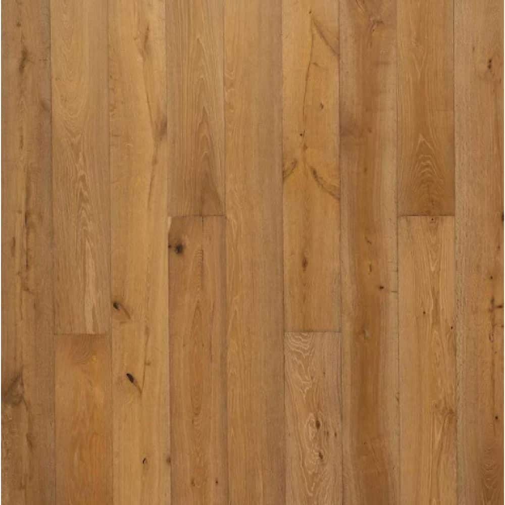 Take Home Sample- Coastal Honey European Oak Tongue and Groove Brushed Smoked Engineered Hardwood price history on PriceWatchPro