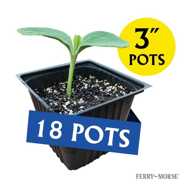 Your Complete Indoor Growing Seed Starting Kit with Garden Seeds from Ferry-Morse Seeds
