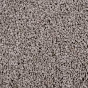 Founder - Elder - Brown 18 oz. SD Polyester Texture Installed Carpet