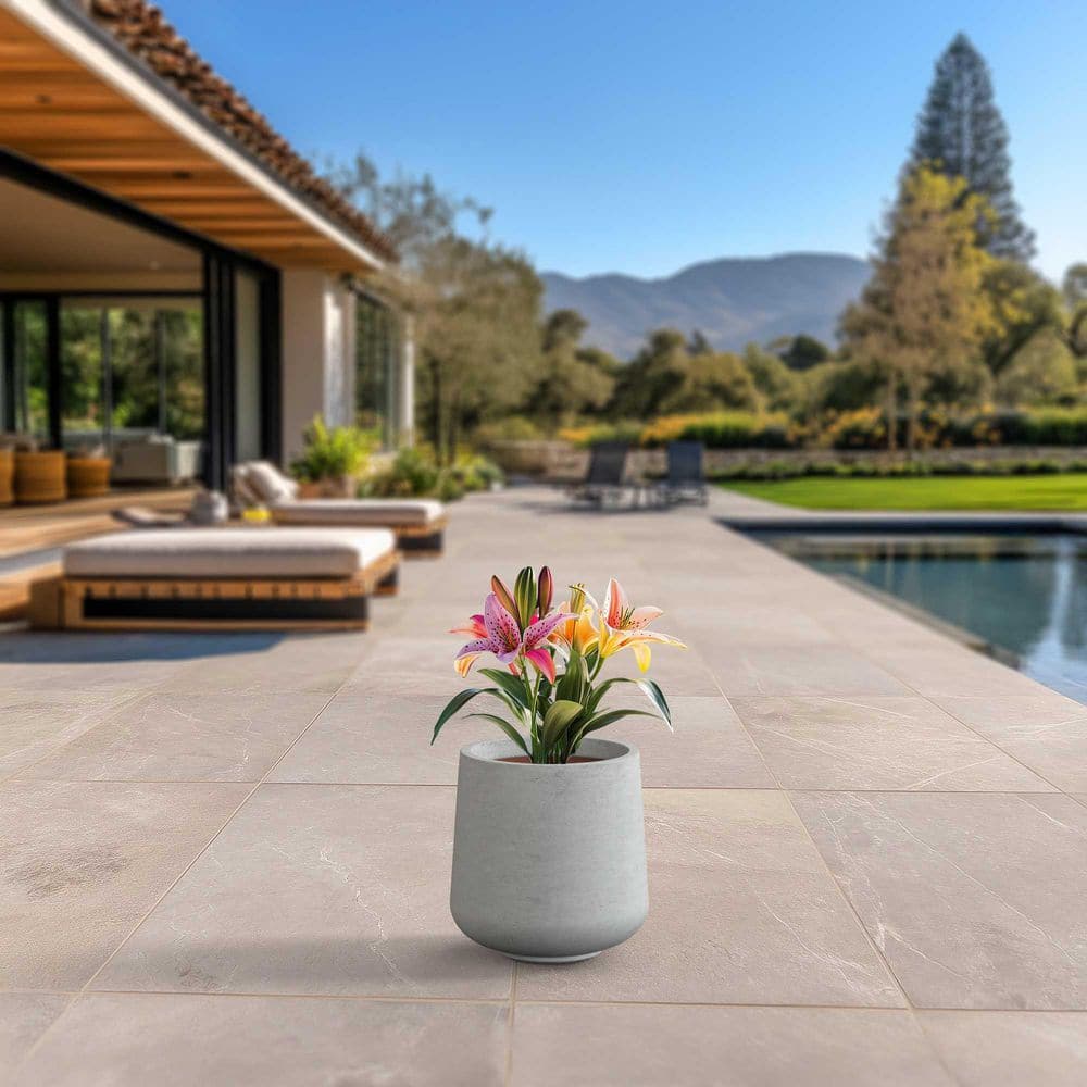 13.5 in. Medium Natural Gray(Enhanced Interior) Concrete Round Planter / Pot with Drainage Holes price history on PriceWatchPro