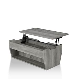 Anthem 41 in. Distressed Gray Rectangle Particle Board Coffee Table with Lift Top