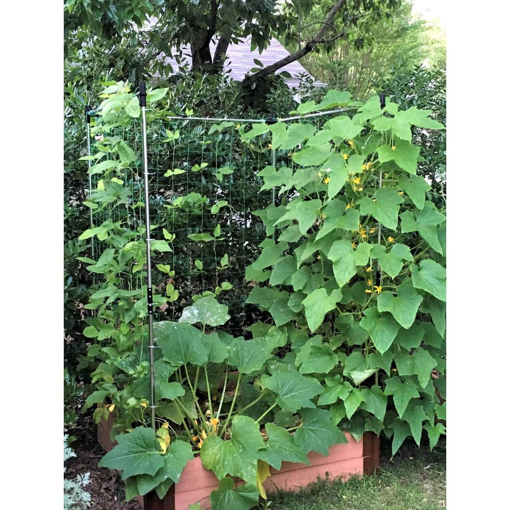 48'' x 48'' Stainless Steel Raised Garden Bed Trellis Kit