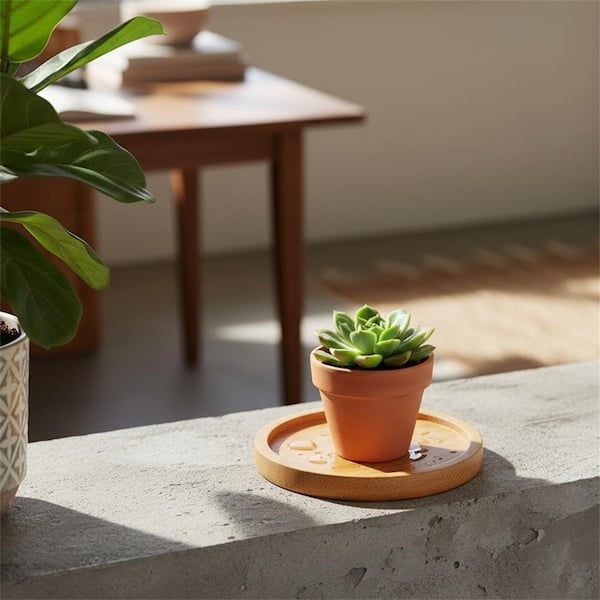 2.52 Inch Bamboo Wood Round Plant Saucer YNLIN383 - The Home Depot