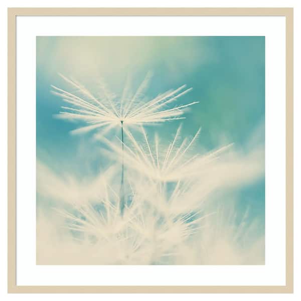 Amanti Art Fluff by Ingrid Beddoes 33 in. W x 33 in. H. Wood Framed Wall Art Print Framed in Brown