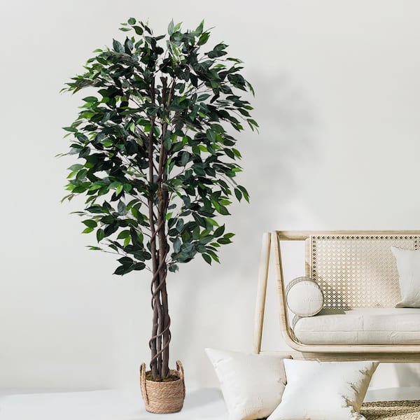 FOREVER LEAF 72 in. Ficus Artificial Tree with the Basket FL02322 - The  Home Depot