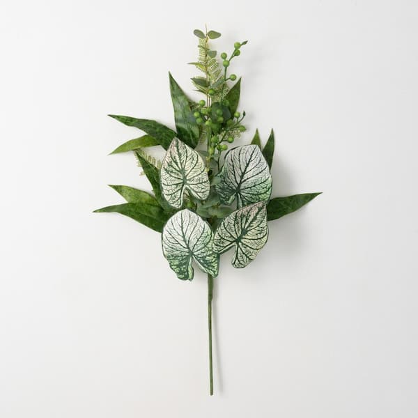 SULLIVANS 29.25" Caladium Eucalyptus Spray; Green