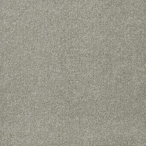Soft Breath Plus II - Highland - Gray 50 oz. SD Polyester Texture Installed Carpet