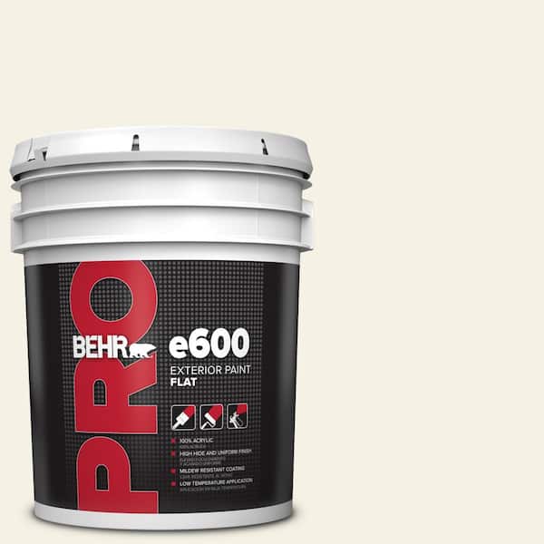 BEHR PRO 5 gal. #ECC-16-2 Bright Moon Flat Exterior Paint