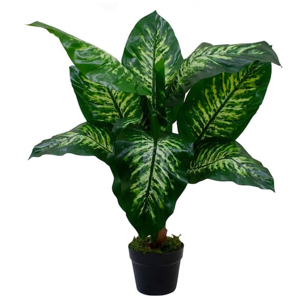 36" Artificial Green and Ivory Variegated Leaf Dieffenbachia Potted Plant