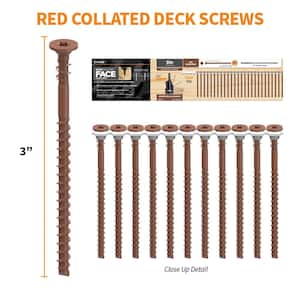 #10 x 3 in. Red Star Drive Bugle-Head Collated Deck Screw (1000-Count)