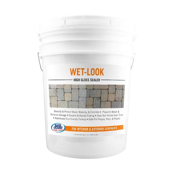 RAIN GUARD 5-gal. Wet Look Sealer Wood and Masonry