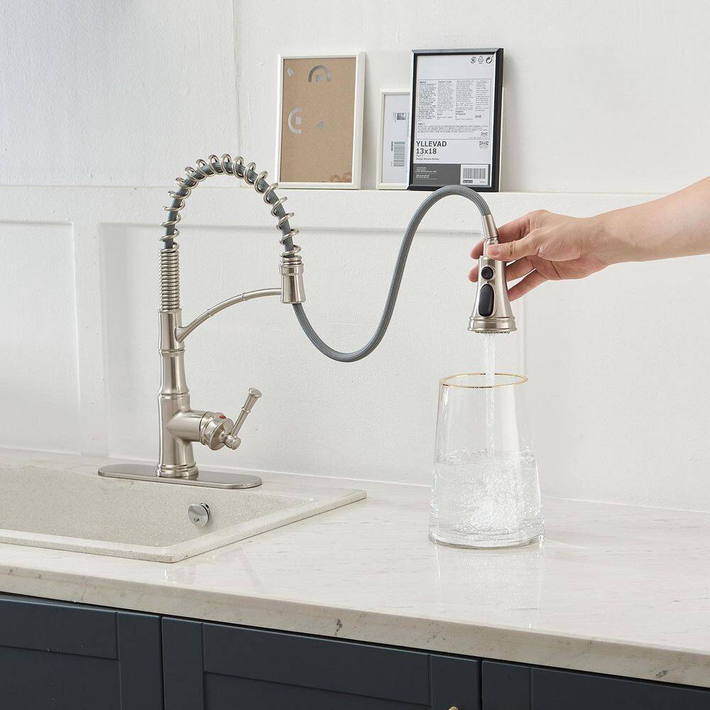 Brushed Nickel Single-Handle Pull-Down Kitchen Faucet with Deck Plate