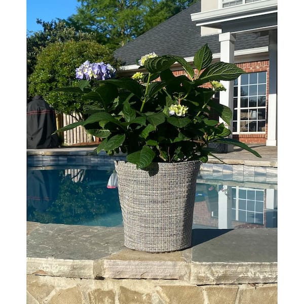 2 Gal. Dear Dolores Hydrangea with Plant Koo-z Pot Sleeve Cover (Motley Weave)
