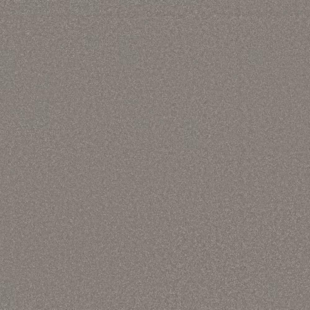 8 in. x 8 in. Texture Carpet Sample-Park Royal II-Color Pebble Path price history on PriceWatchPro