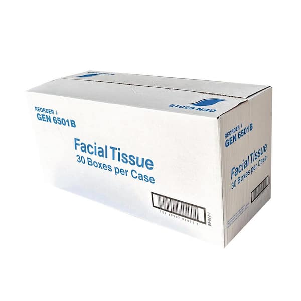 GEN Facial Tissue, 2-Ply, White, Flat Box, 100-Sheets/Box