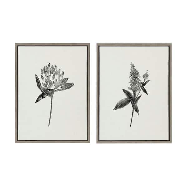 Kate and Laurel Sylvie "Vintage Botanical 1 and 2" by Teju Reval of Snazzyhues 2 Piece Framed Art Print 24 in. x 18 in.