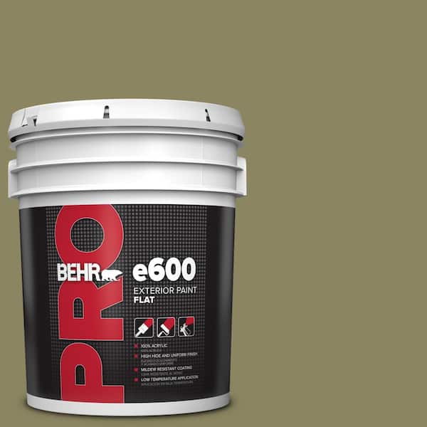BEHR PRO 5 gal. #S350-5 Green Scene Flat Exterior Paint