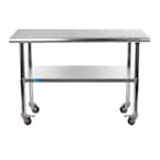 24 in. x 48 in. Stainless Steel Work Table with Casters Mobile Metal Kitchen Utility Table with Bottom Shelf