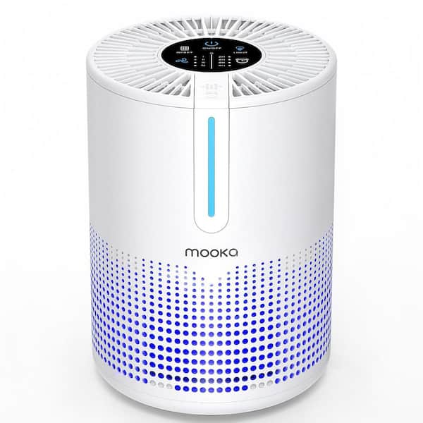 300 sq. ft. H13 True HEPA Personal Room Air Purifier in White, Timer, Air Filter Cleaner for Smoke, Odor, 4-Speed