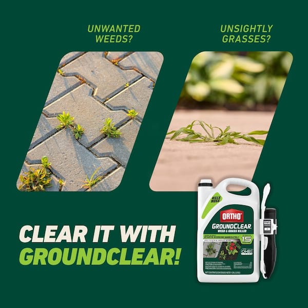 Ortho GroundClear Weed and Grass Killer RTU Liquid 1 gal