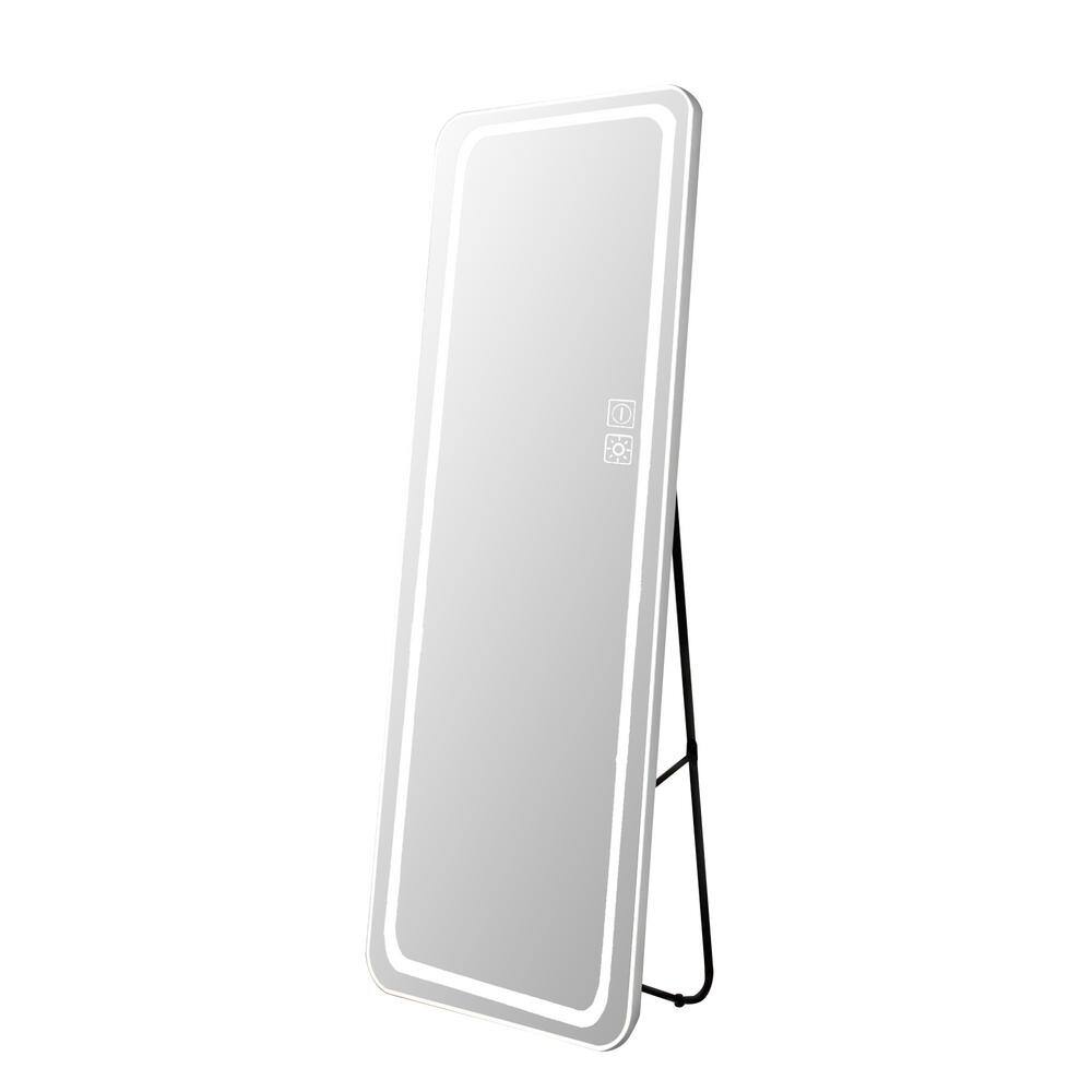 Zeus & Ruta 16 in. W x 63 in. H Modern Length Mirror with Lights