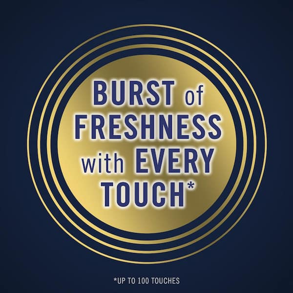 Touch 27 oz. Ocean Scent Fabric Freshener Spray (Multi-Pack 2)
