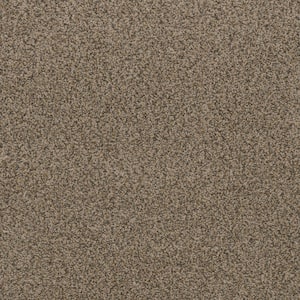 Promenade - Mingle - Beige 24 oz. SD Polyester Texture Installed Carpet