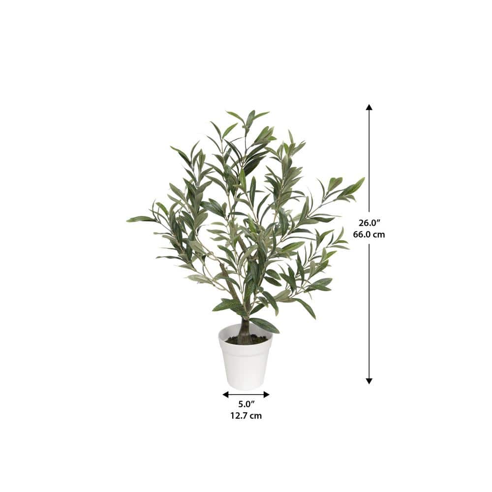 Silk Olive Tree in White Plastic Pot, 26 Inches