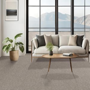 Painted Picture - Pyrite-Gray 12 ft. 45 oz. Triexta PET Pattern Installed Carpet