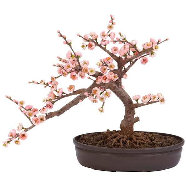 Nearly Natural 15 In H Pink Artificial Cherry Blossom Bonsai Silk Tree 4764 The Home Depot
