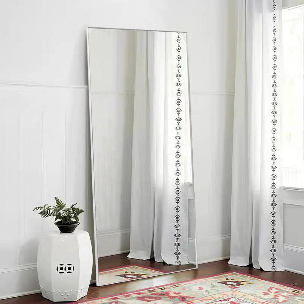 20 in. W x 59 in. H Metal Framed Full Length Mirror Wall Mounted Free Stand