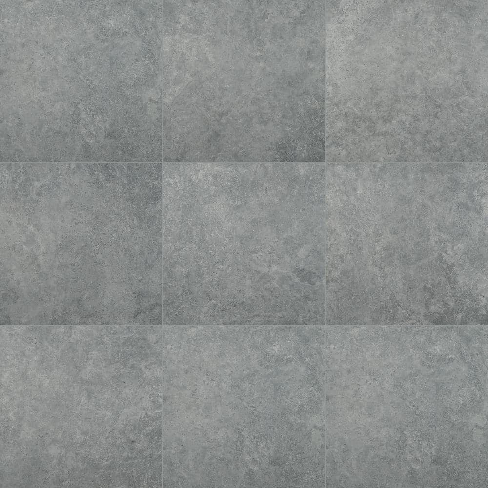 Take Home Tile Sample - Stellar Silver 4 in. x 4 in. Matte Porcelain Floor and Wall Tile price history on PriceWatchPro