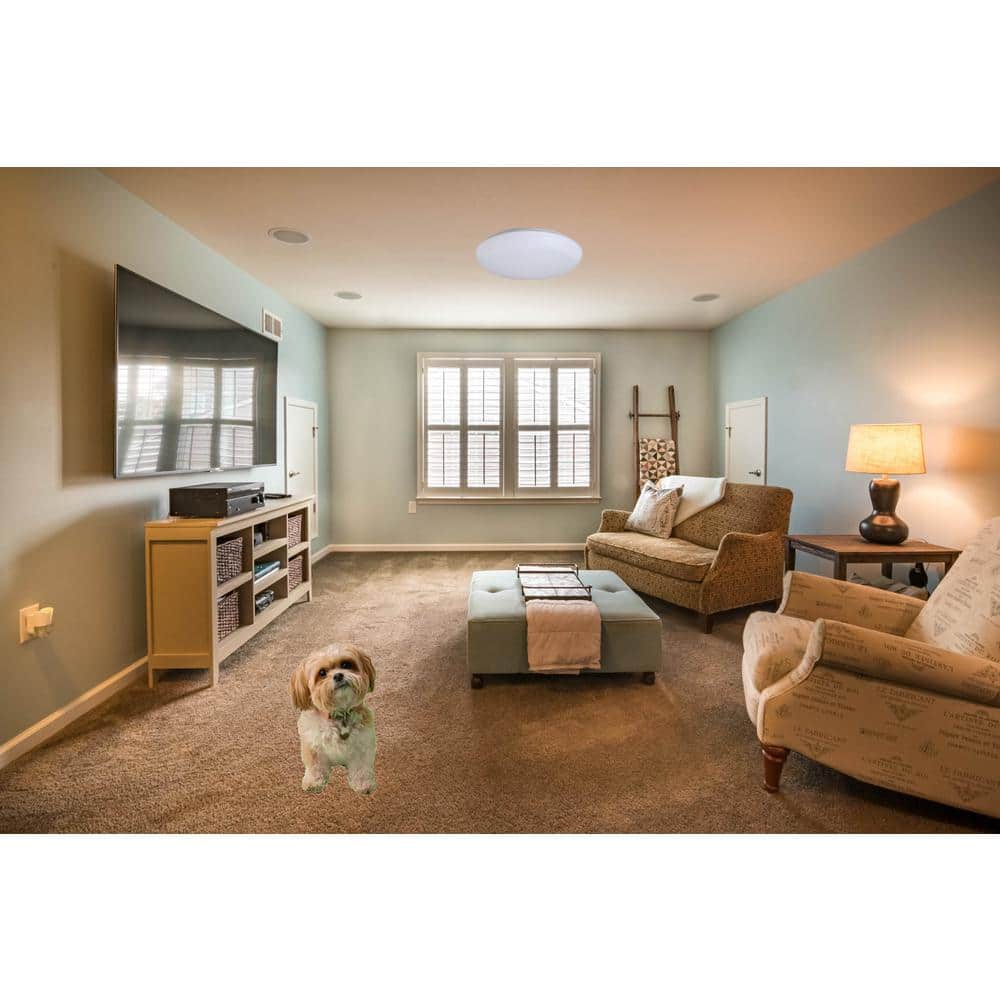 White Glass Drum LED Flush Mount Light, 11 Inch