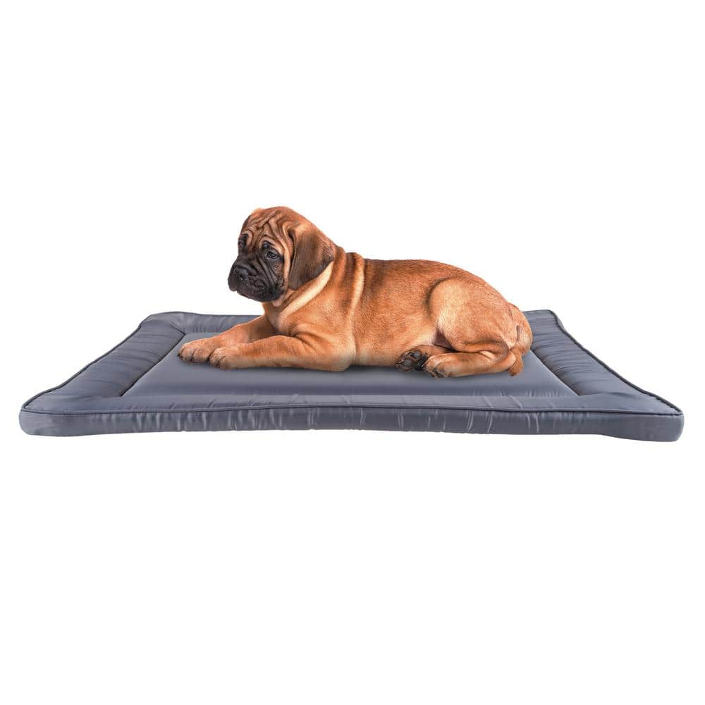 PET LIFE 1 Size Grey Fuzzy Quick-Drying Anti-Skid and Machine Washable Dog  Mat PB112GY - The Home Depot