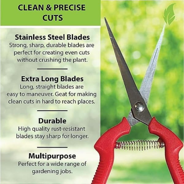 Garden Guru Extra Long Stainless Steel Pruner Pruning Shears Clippers Snips  Sharp Bonsai Cutter Plant Trimming Scissors  Straight Blade Garden