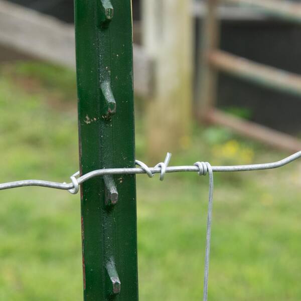 2 ft. Green Steel Fence T-Post 