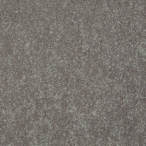 Brave Soul II - Tapestry - Brown 15 ft. 44 oz. Polyester Texture Carpet - Installation Required