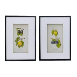 Smithsonian Framed Nature Art Print 27.6 in. x 19.7 in.