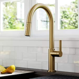 Oletto Single-Handle Pull-Down Sprayer Kitchen Faucet in Brushed Brass