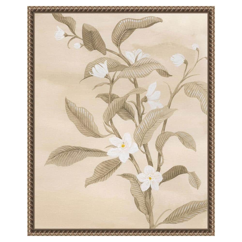 Sepia Orange Blossom Sketch II Canvas Wall Art with Bronze Frame