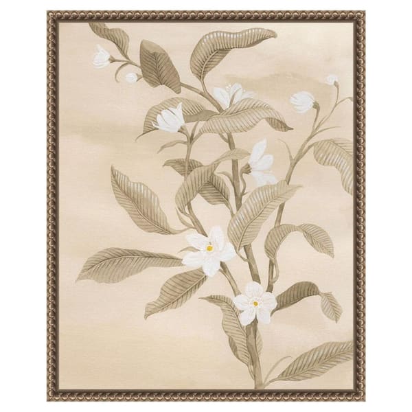 Amanti Art Sepia Orange Blossom Sketch II by Grace Popp 16-in. W x 20-in. H. Canvas Wall Art Print Framed in Bronze