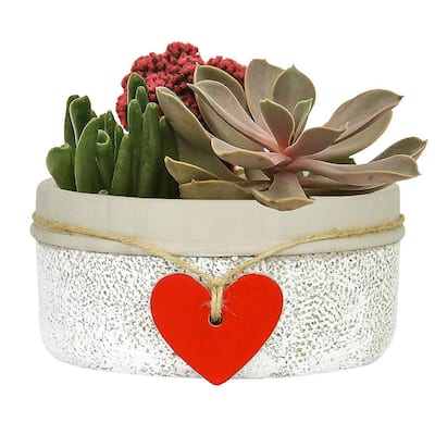 Classic Home and Garden 210029P-396 Heart Pot Planter Whitewash Small