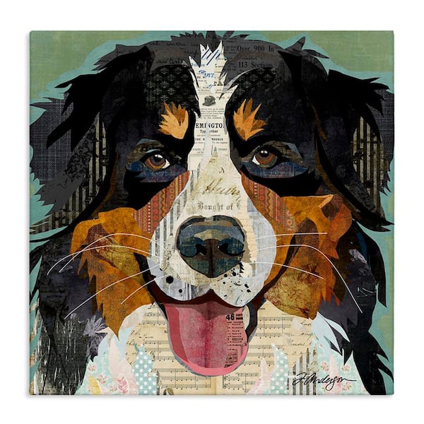 Bernese Mountain Dog Collage by Traci Anderson Unframed Graphic Art Print Animal 17 in. x 17 in.