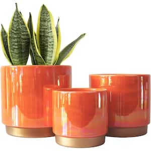 Bohemian 5.5 in. L x 6 in. W x 6 in. H Peach Ceramic Round Indoor/Outdoor Planter (3-Pack)