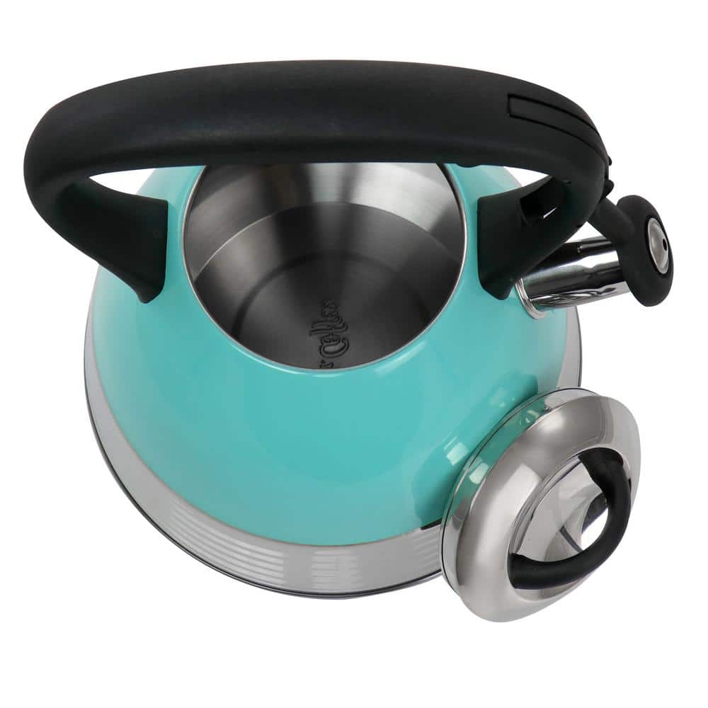 Turquoise Stainless Steel Whistling Tea Kettle with Black Handle