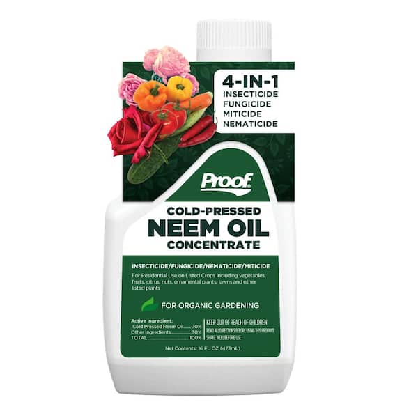 Proof 16 oz. Neem Oil 4N1 Insect Disease Control 100543996 The Home Depot