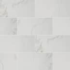 Carrara 12 in. x 24 in. Matte Porcelain Floor and Wall Tile (16 sq. ft./Case)